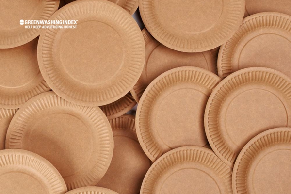 Unmasking the Truth about Paper Plate Manufacturing