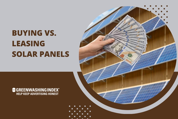 Buying vs. Leasing Solar Panels: What’s Best for You?