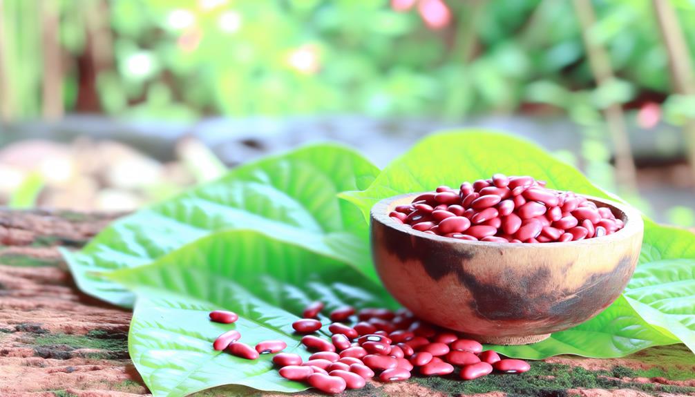 exploring the world s protein rich legume - Azuki Beans