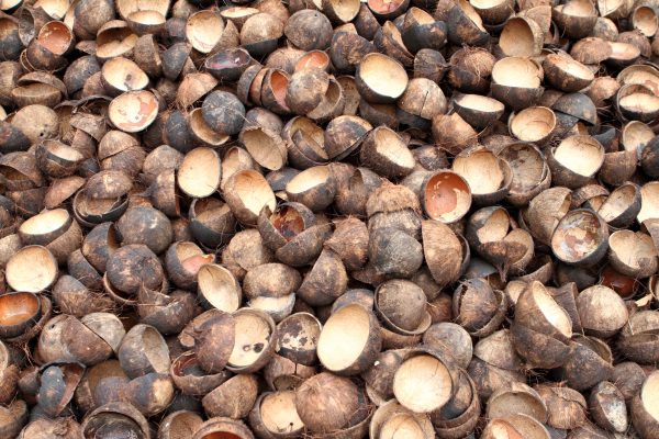 How to Compost Coconut Shells
