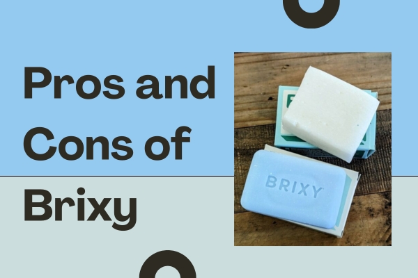 Pros and Cons of Brixy