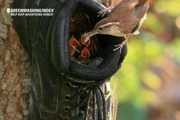 Bird Feeders from Old Shoes