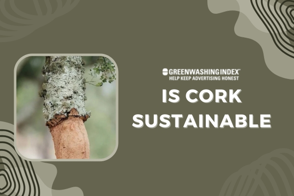 Is Cork Sustainable