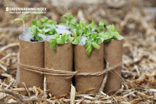 Toilet Paper Roll Seed Starters