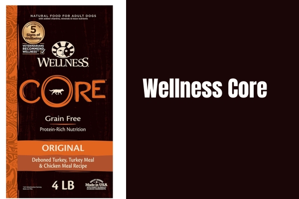 Wellness Core