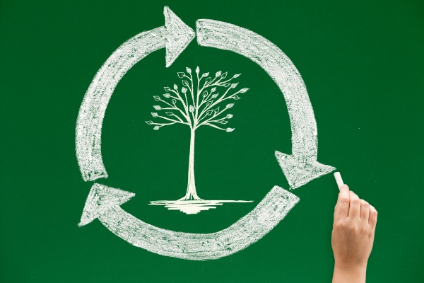 Cycle of Greenwashing