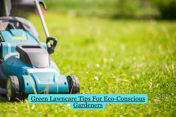 Green Lawncare Tips For Eco-Conscious Gardeners