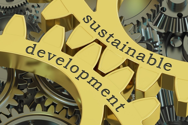 Understanding the Concept of Sustainable Development