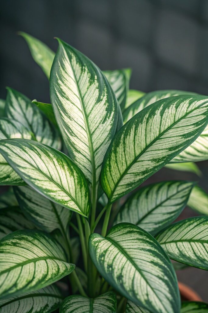 10. Chinese Evergreen (Aglaonema)