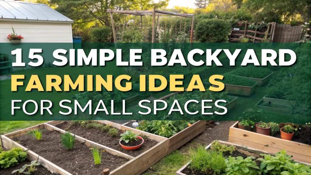 15 Simple Backyard Farming Ideas for Small Spaces