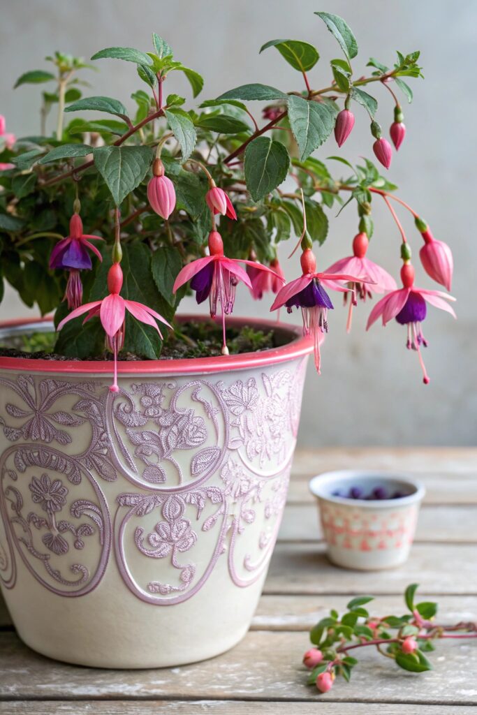 Fuchsias: The Hanging Beauties