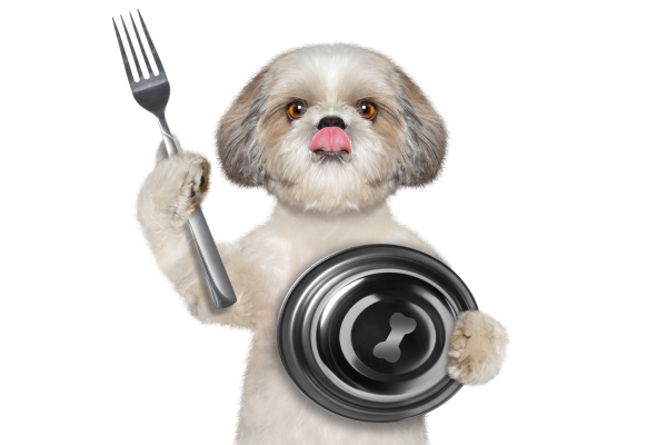 Choosing the Right Dog Food for Your Dog’s Needs