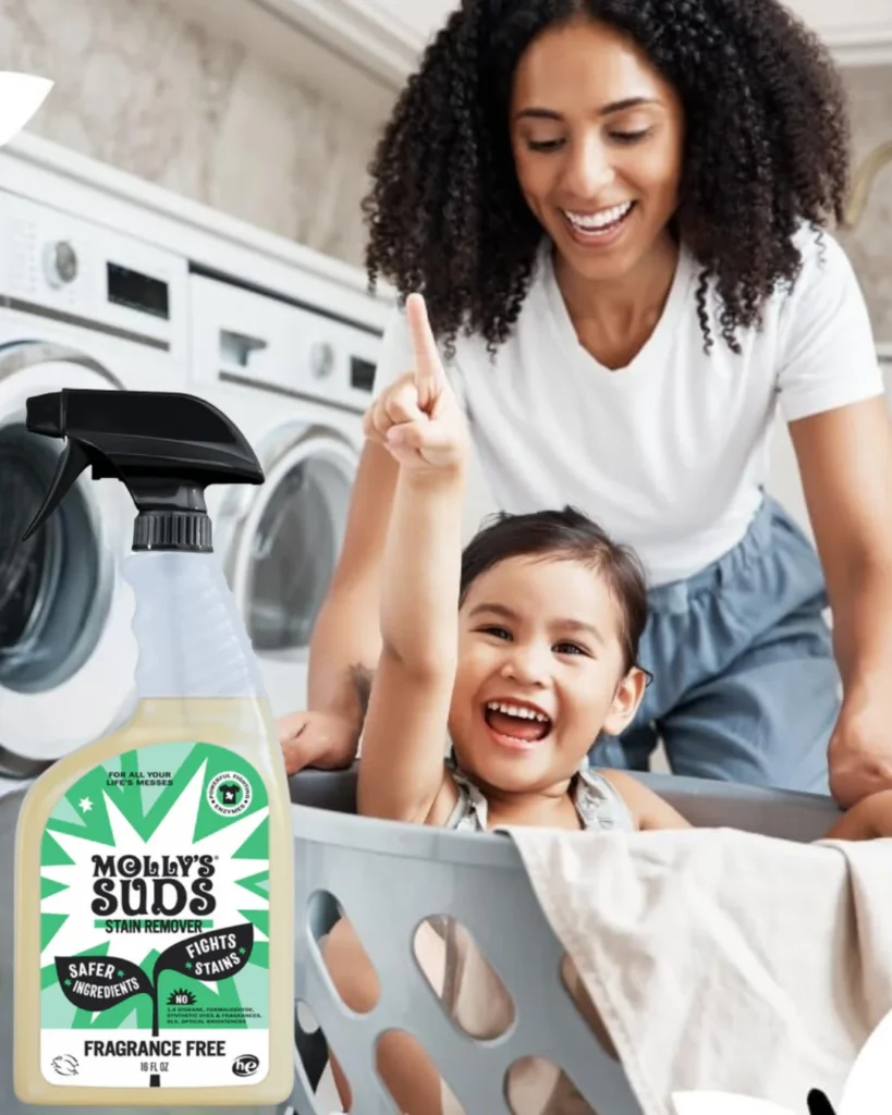 non toxic stain remover brands 