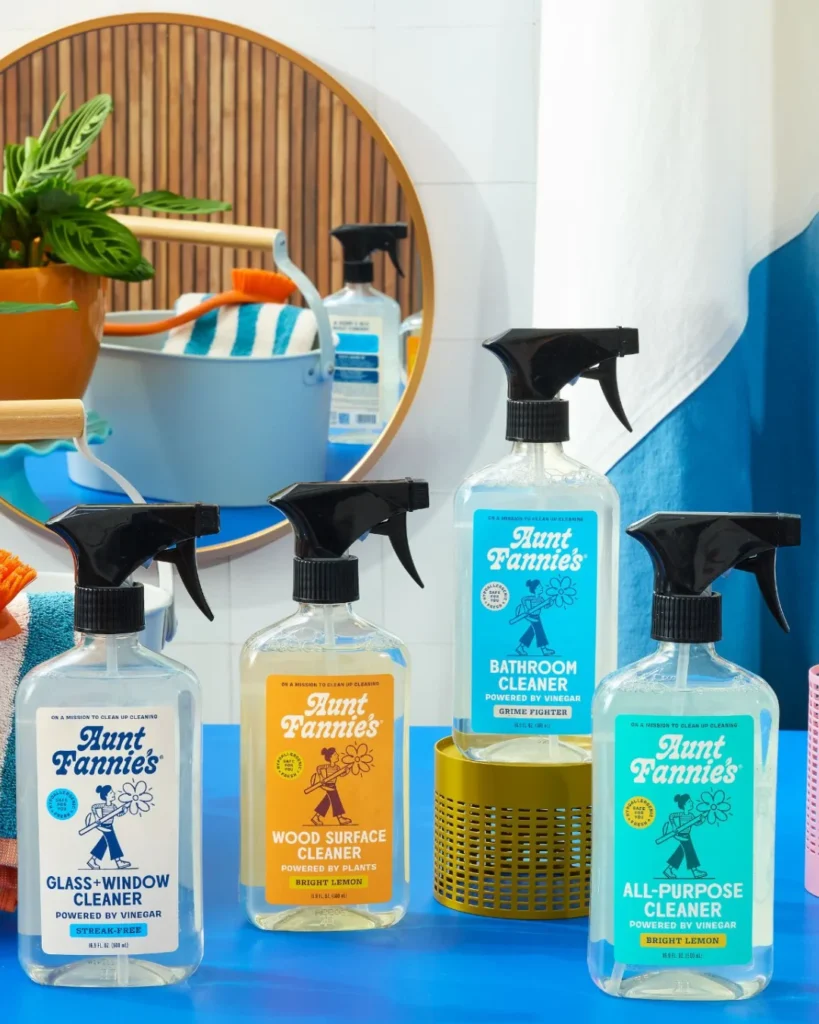 best non toxic cleaning products