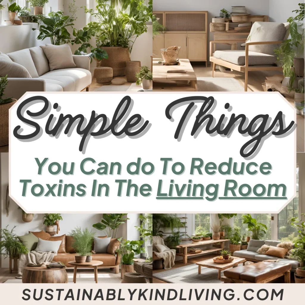 4 different photos of a living room with text "simple things you can do to reduce toxins in the living room".