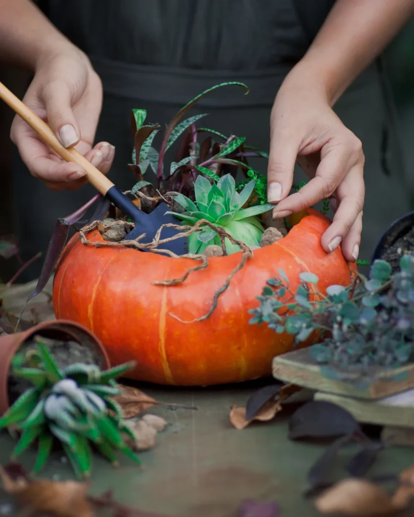 ways to keep halloween pumpkins out of landfills 