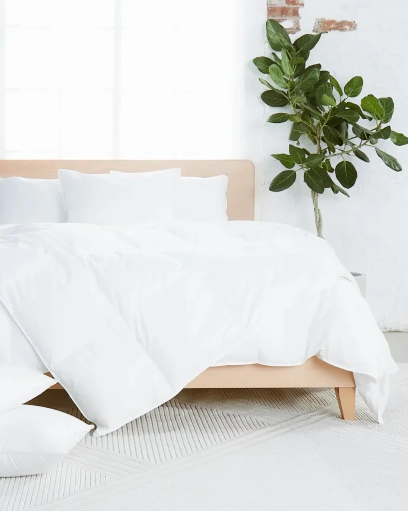 non-toxic organic cotton comforters & duvet insert brands 