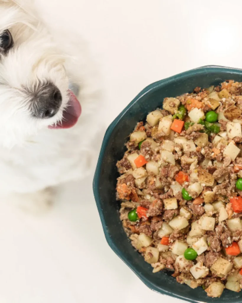 non toxic dog food