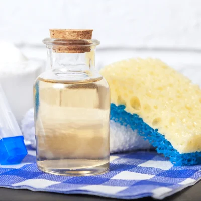 best homemade oven cleaner recipe