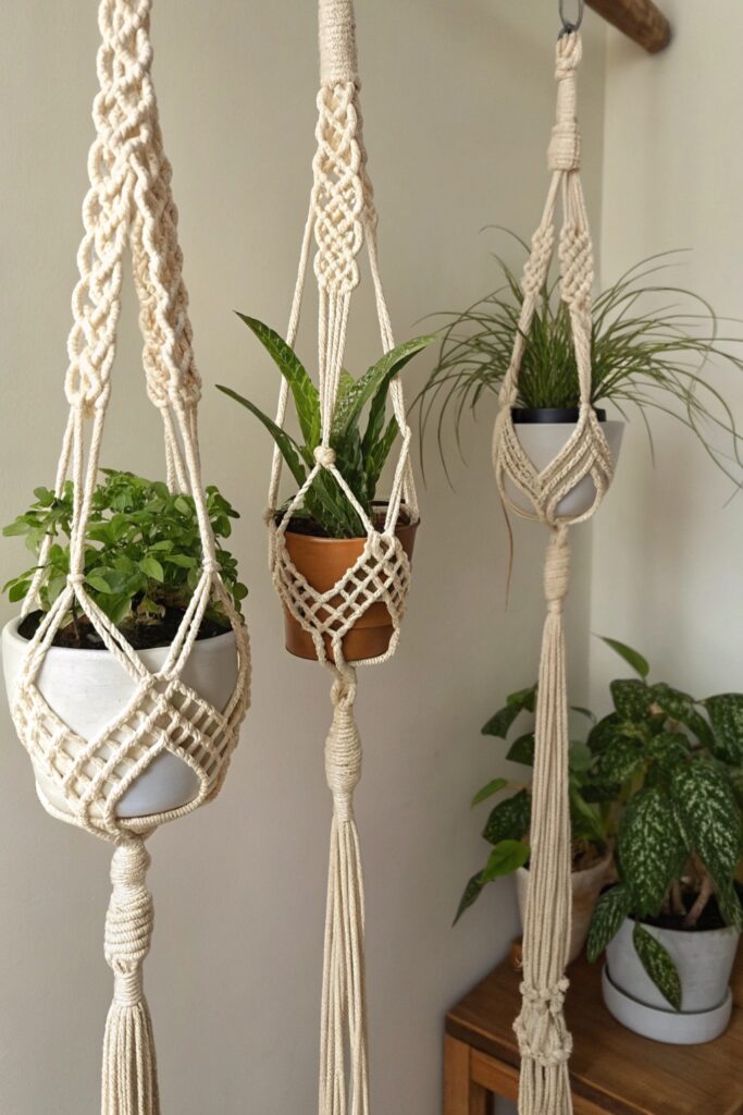 decorative hanging plant holders