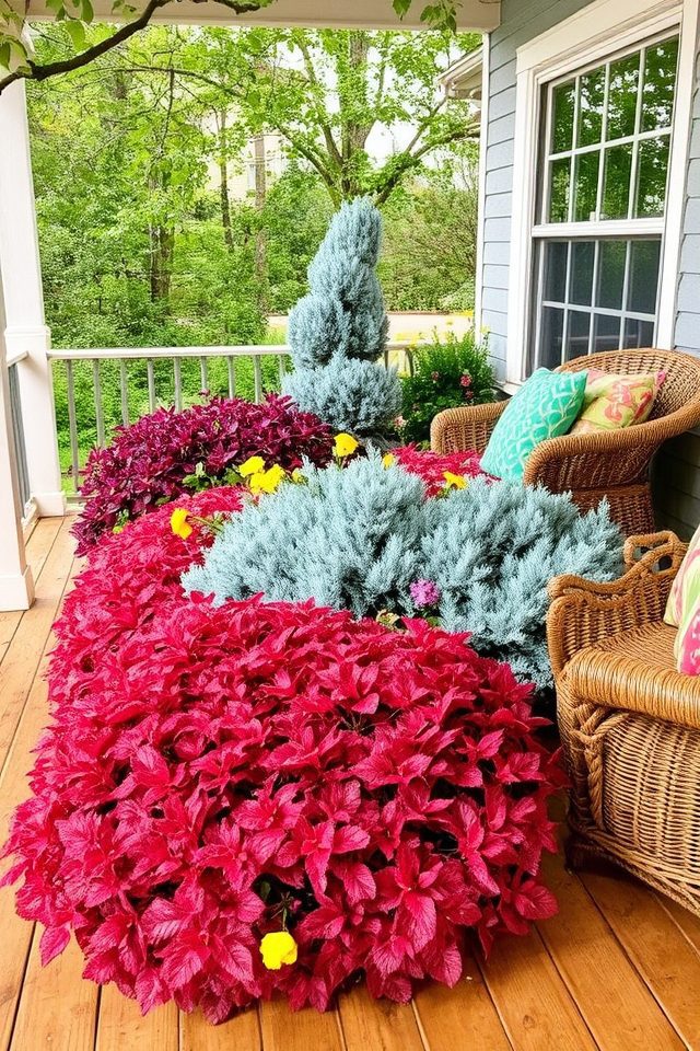 colorful shrubs enhance structure