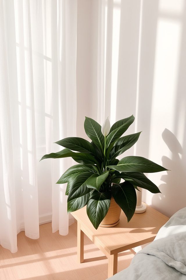 elegant calming minimalist decor