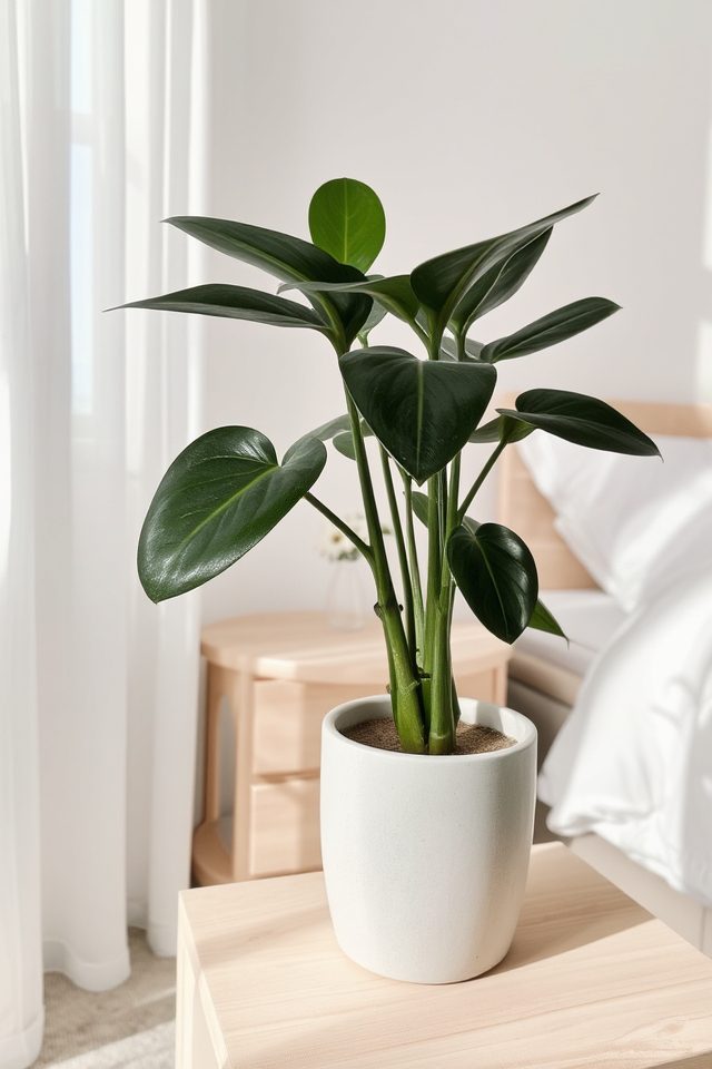 elegant low maintenance bedroom plant