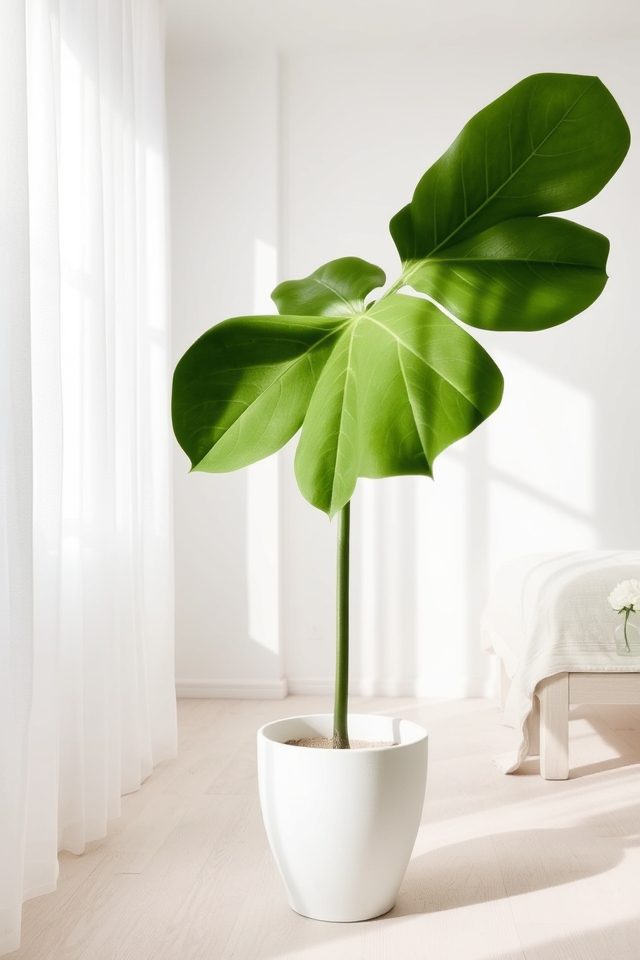 elegant minimalist bedroom plant