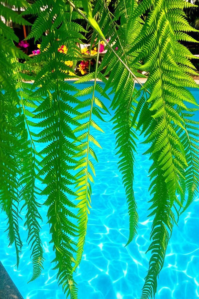 serene tropical pool retreat