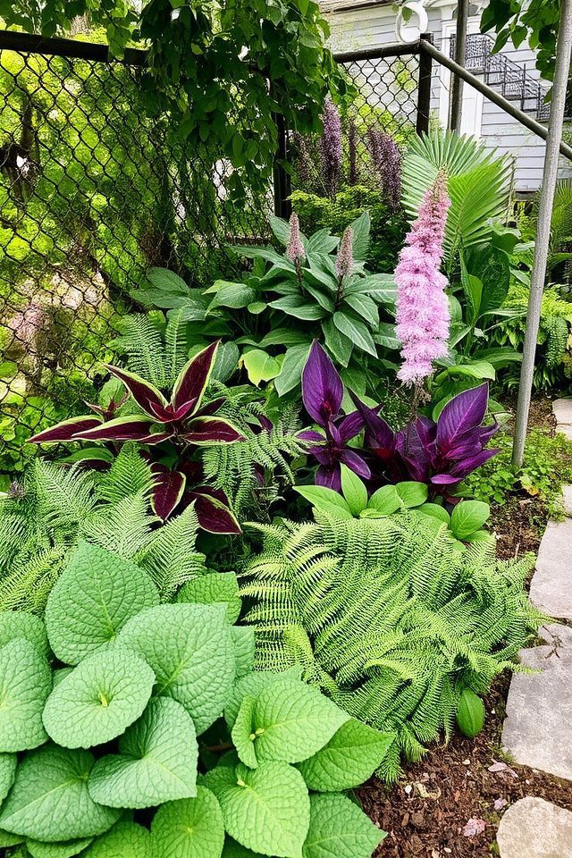 shade loving plants brighten corners