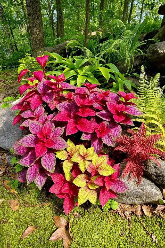 vibrant shade garden plants