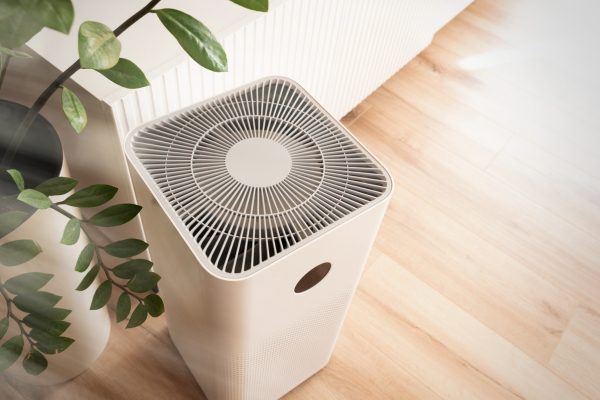 How to Determine if Your Ionic Air Purifier is Safe to Use