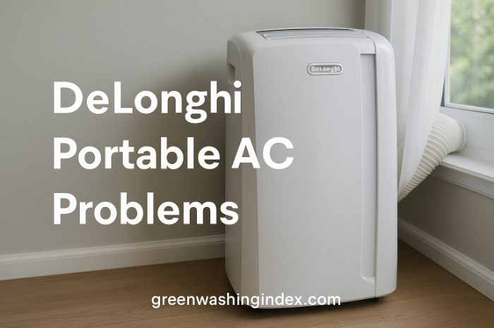 DeLonghi Portable AC Problems