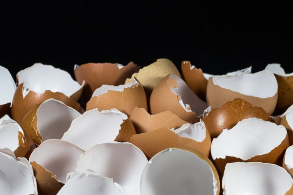 The Scale of Eggshell Waste in the Philippines