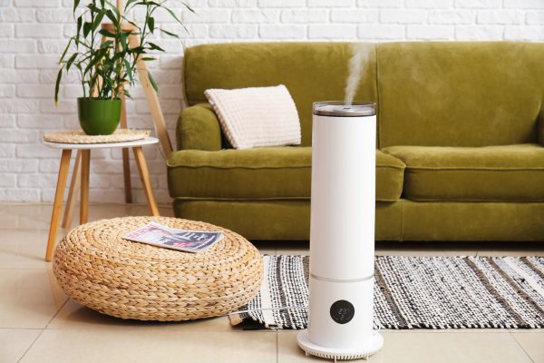 Humidifier Placement Near Plants in Bedroom