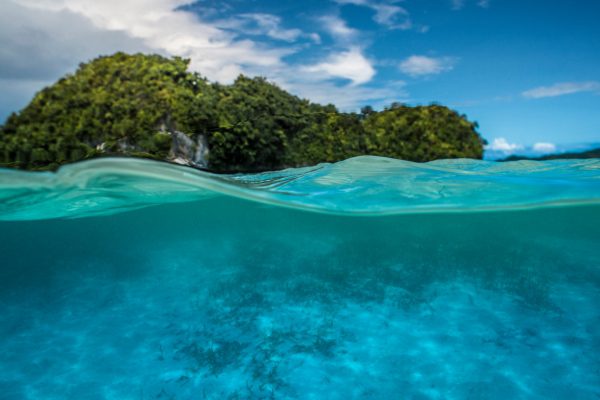 How to Clean Oceans Sustainably