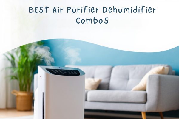Air Purifier Dehumidifier Combo