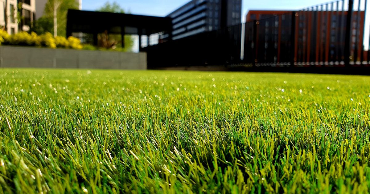 Best Electric Dethatcher 2025: Zero-Emission Lawn Care