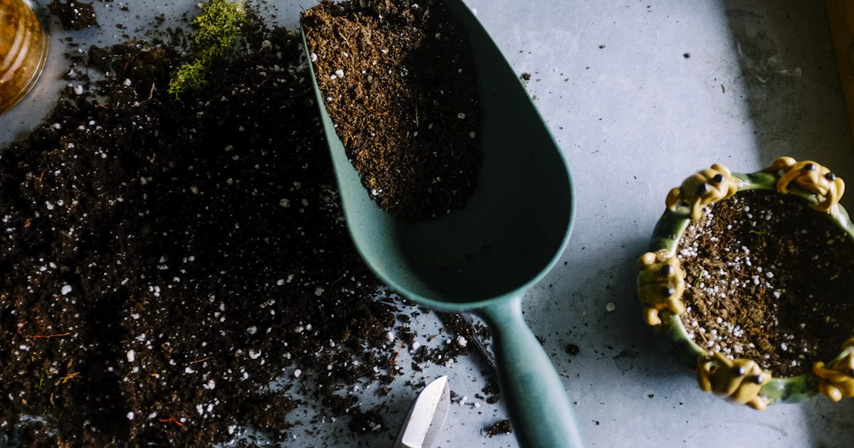How to Till a Garden Without a Tiller: 10 Manual Methods