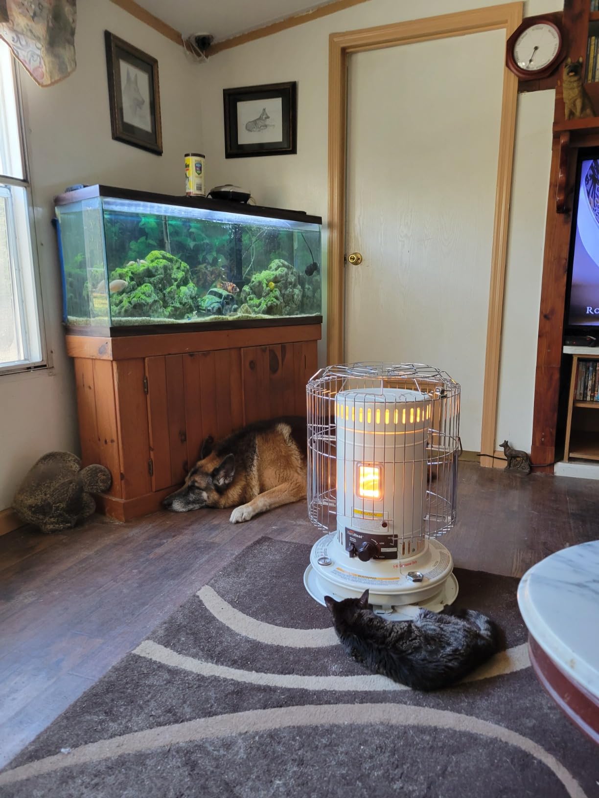 Sengoku Indoor & Outdoor Kerosene Heater, 23,500 BTU, Portable Use, White - Cordless Space Heater for Home, Garage, Basement, and Camping - Customer Photo 2