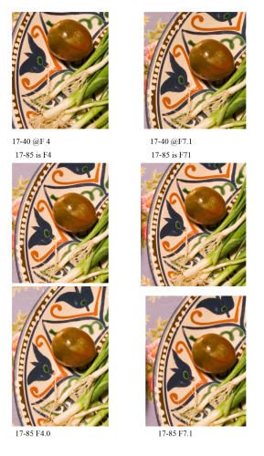 Canon EF 17-40mm f/4L USM Ultra Wide Angle Zoom Lens for SLR Cameras Customer Review Canon EF 17-40mm f/4L USM Ultra Wide Angle Zoom Lens for SLR Cameras - Customer Photo 1