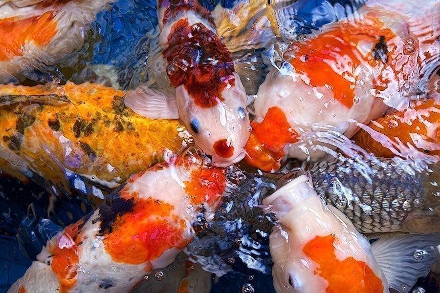 Canon EF 24-70mm f/2.8L USM Standard Zoom Lens for Canon SLR Cameras Customer Review Canon EF 24-70mm f/2.8L USM Standard Zoom Lens for Canon SLR Cameras - Customer Photo 1