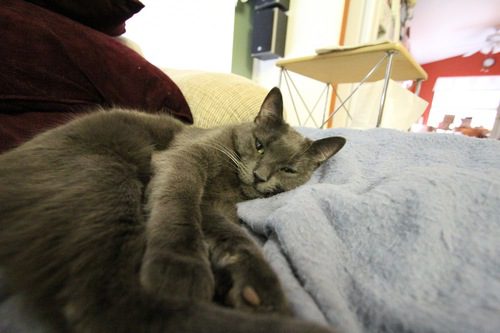 Canon EF-S 10-22mm f/3.5-4.5 USM SLR Lens for EOS Digital SLRs - Customer Photo 1