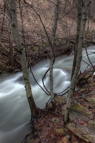 Canon EF 16-35mm f/2.8L II USM Zoom Lens for Canon EF Cameras - Customer Photo 2