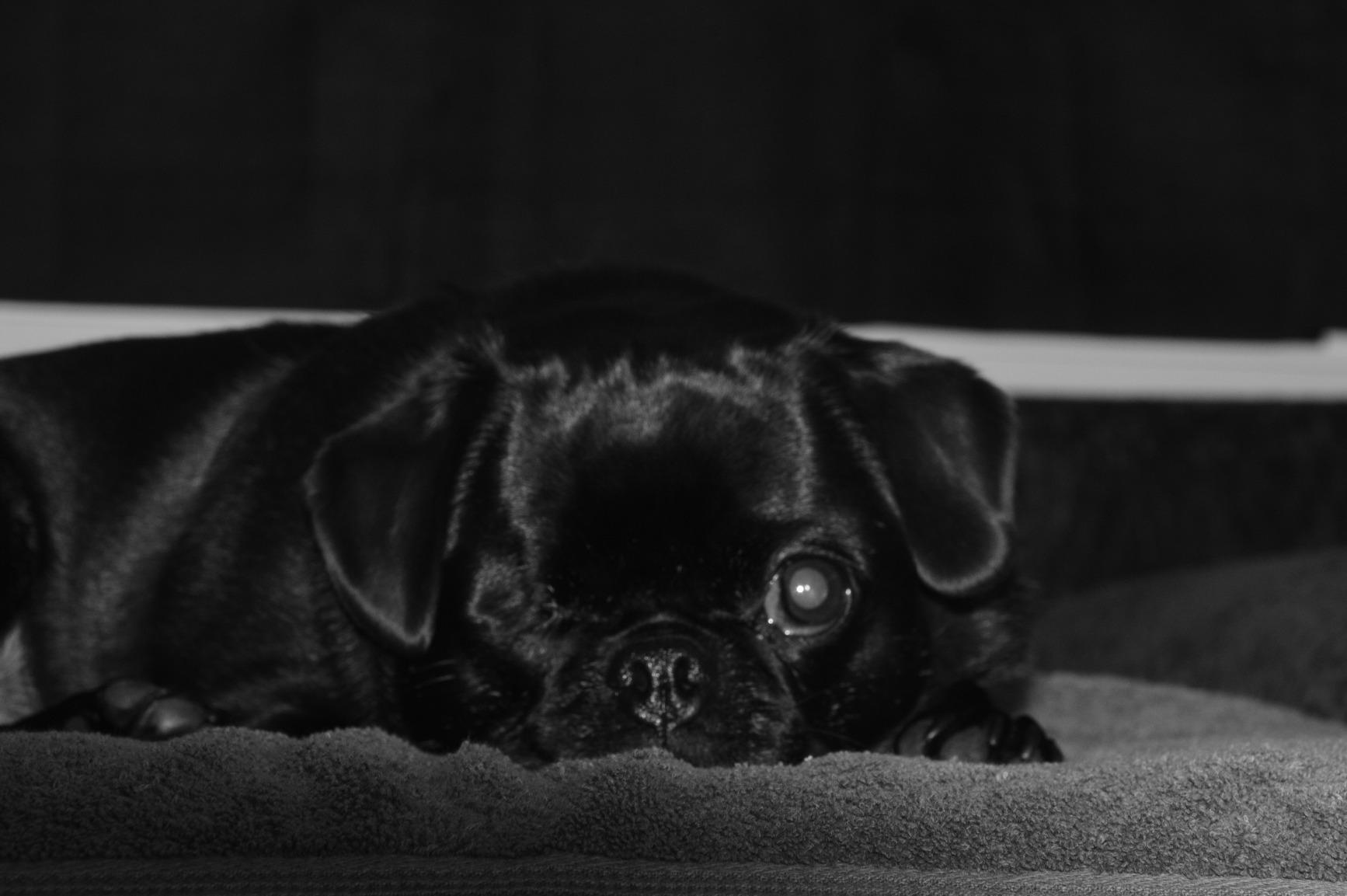 Nikon AF-S DX NIKKOR 18-105mm f/3.5-5.6G ED Vibration Reduction Zoom Lens with Auto Focus for Nikon DSLR Cameras - (New) Customer Review Nikon AF-S DX NIKKOR 18-105mm f/3.5-5.6G ED Vibration Reduction Zoom Lens with Auto Focus for Nikon DSLR Cameras - (New) - Customer Photo 2