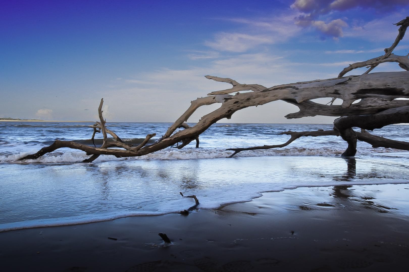 Sigma 10-20mm f/3.5 EX DC HSM ELD SLD Aspherical Super Wide Angle Lens for Nikon Digital SLR Cameras - Customer Photo 1