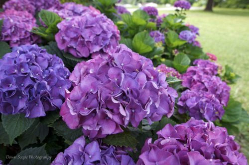 Rokinon 14mm F2.8 IF ED Super Wide Angle Lens for Canon EF Customer Review Rokinon 14mm F2.8 IF ED Super Wide Angle Lens for Canon EF - Customer Photo 2