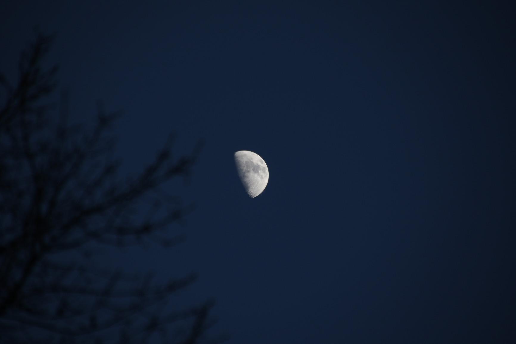 Tamron Auto Focus 18-270mm f/3.5-6.3 VC PZD All-In-One Zoom Lens with Built in Motor for Nikon DSLR Cameras (Model B008N) - Customer Photo 1