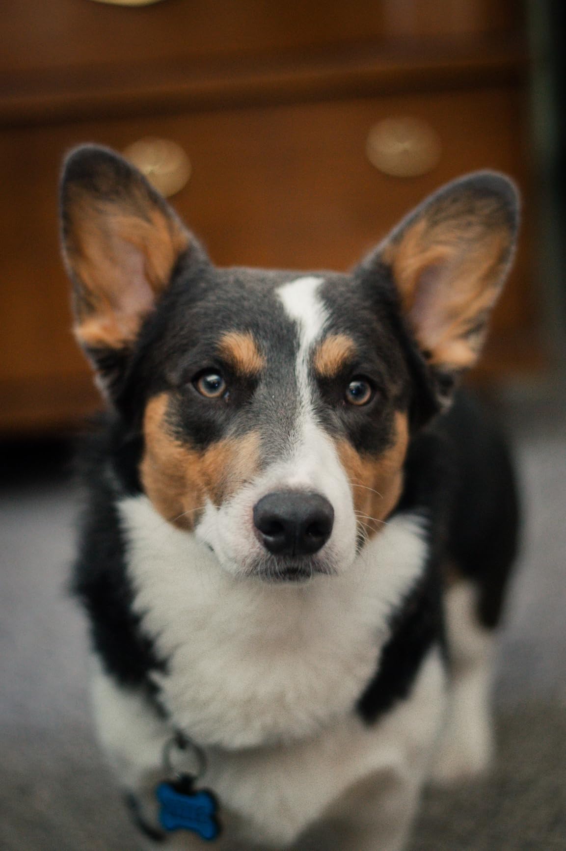 Nikon AF-S FX NIKKOR 50mm f/1.8G Lens with Auto Focus for Nikon DSLR Cameras Customer Review Nikon AF-S FX NIKKOR 50mm f/1.8G Lens with Auto Focus for Nikon DSLR Cameras - Customer Photo 1