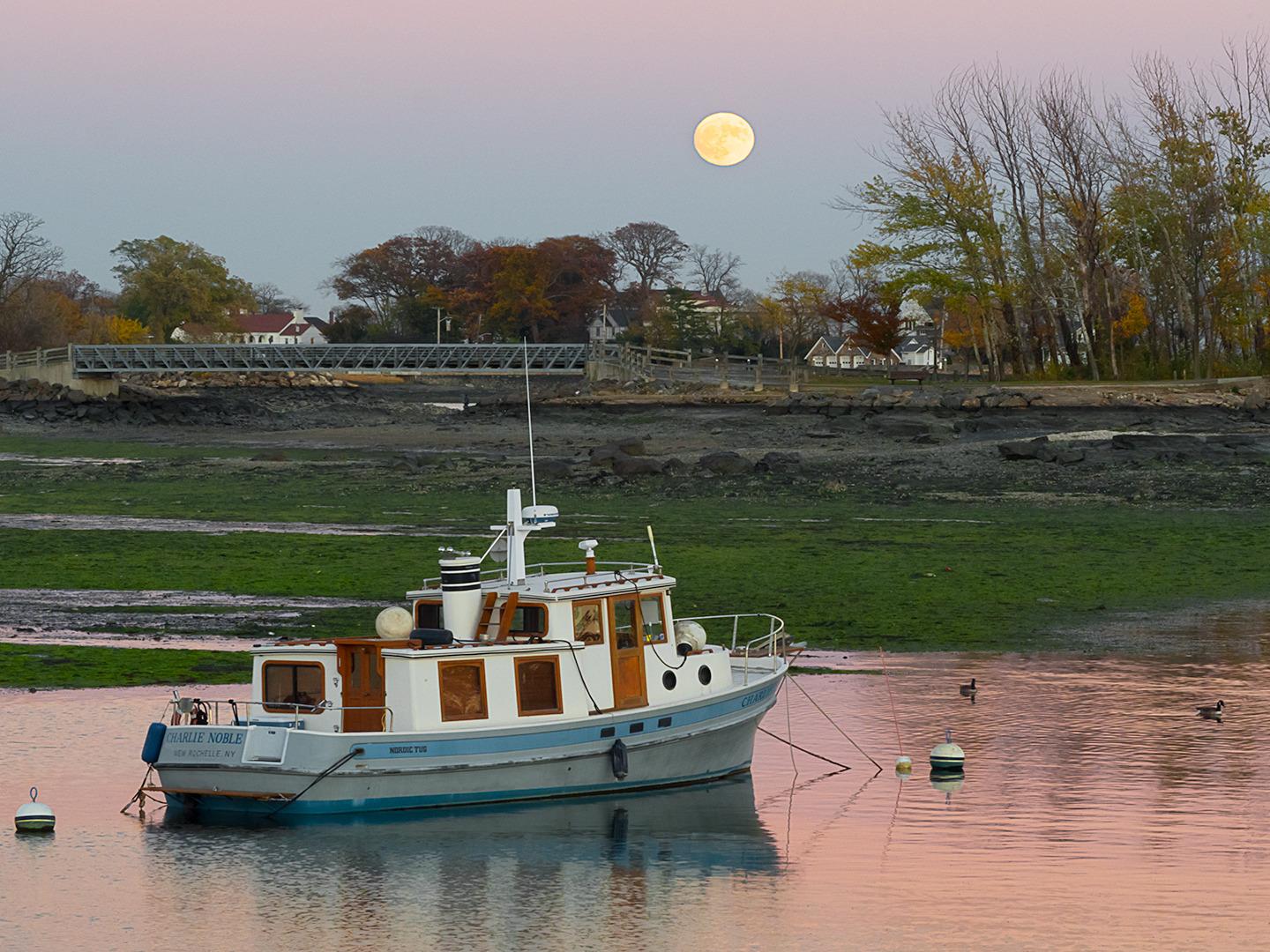 Olympus M.Zuiko Digital 40-150mm F4.0-5.6 R Black for Micro Four Thirds System Camera, 3.75x Zoom Lens, Portable Design - Customer Photo 1